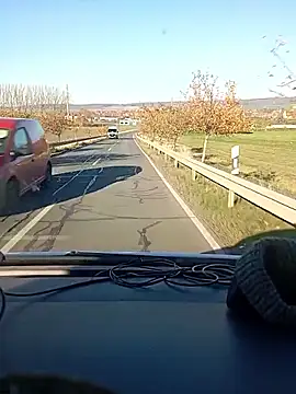 Snapshot of fickfreund019 chatting on November 6, 2025, 12:09 pm fickfreund019 online show from November 6, 2025, 12:09 pm