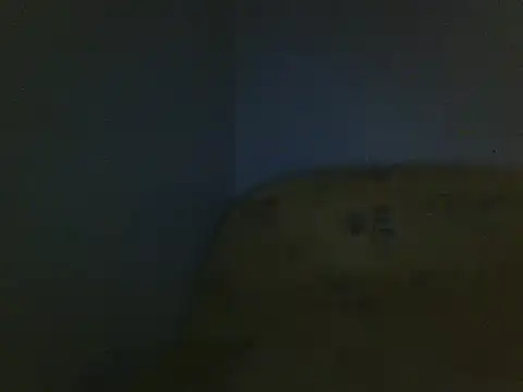 Snapshot of Aranox098 chatting on November 23, 2025, 2:54 am Aranox098 online show from November 23, 2025, 2:54 am