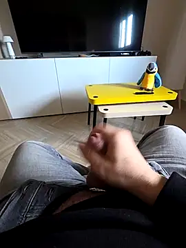 Snapshot of sonic197501 chatting on February 20, 2026, 8:16 am sonic197501 online show from February 20, 2026, 8:16 am