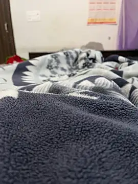 jackyw online show from November 4, 2025, 11:58 am