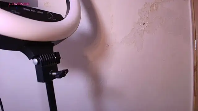 Terraelowen online show from November 29, 2025, 11:32 am