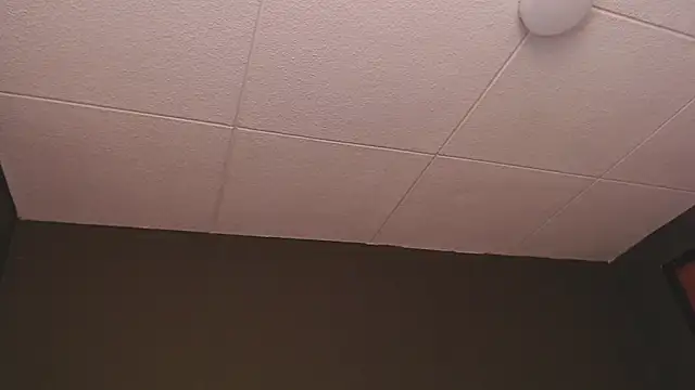 PaulEvens online show from December 16, 2025, 1:26 pm