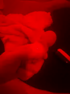 2Tight2Handle online show from October 20, 2025, 2:17 pm