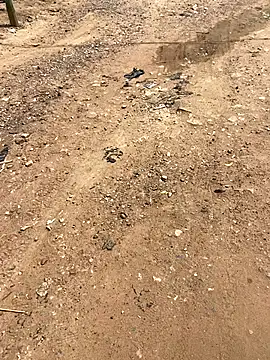 Snapshot of Jaydemasked chatting on November 26, 2025, 11:10 am Jaydemasked online show from November 26, 2025, 11:10 am