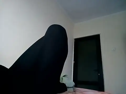 Snapshot of Hrnyallthetime chatting on February 6, 2026, 5:58 am Hrnyallthetime online show from February 6, 2026, 5:58 am