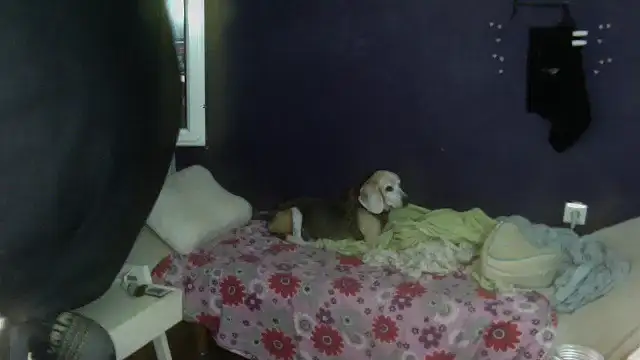 Snapshot of turkishTransEfsun chatting on September 13, 2025, 1:11 pm turkishTransEfsun online show from September 13, 2025, 1:11 pm