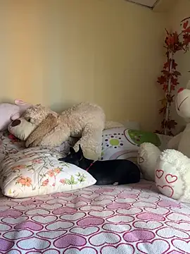 MiaRousexxx  online show from November 26, 2025, 8:31 pm