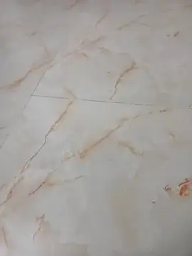 Samantaapu online show from November 16, 2025, 2:00 pm