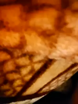 monty935 online show from December 22, 2025, 6:19 pm