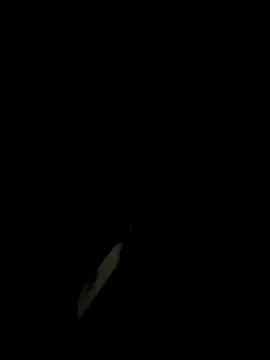 Snapshot of monty935 chatting on November 30, 2025, 1:23 pm monty935 online show from November 30, 2025, 1:23 pm