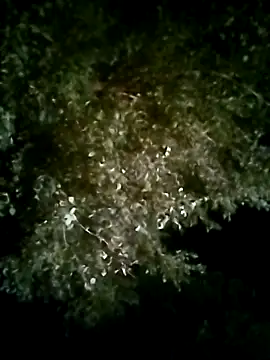 Joshi Love143 online show from October 24, 2025, 1:54 pm