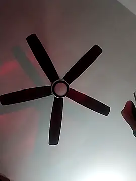 Snapshot of MoonlikePolicy727 chatting on February 22, 2026, 5:14 pm MoonlikePolicy727 online show from February 22, 2026, 5:14 pm