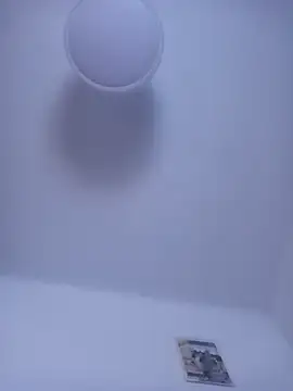 gigolobcn online show from March 12, 2026, 6:34 pm