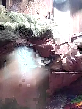 Snapshot of PhamPm70 chatting on November 22, 2025, 10:41 pm PhamPm70 online show from November 22, 2025, 10:41 pm