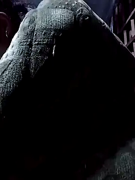 Snapshot of PhamPm70 chatting on November 17, 2025, 11:58 am PhamPm70 online show from November 17, 2025, 11:58 am