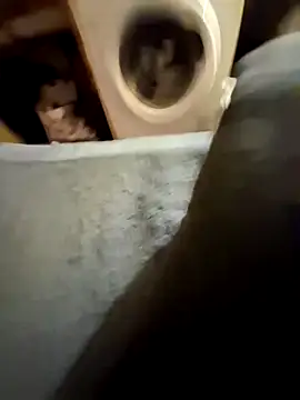 lapousse3 online show from September 25, 2025, 11:38 am