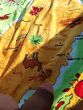 pegaso369 online show from November 6, 2025, 11:25 am