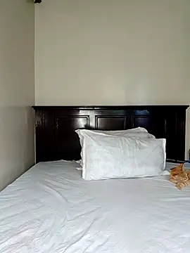 Nedambale online show from February 14, 2026, 12:38 pm