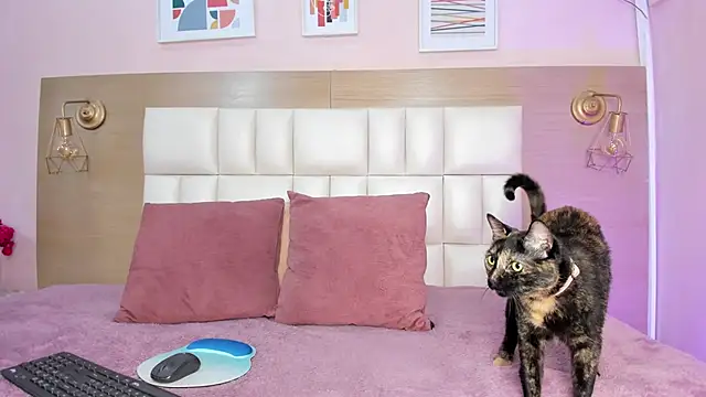 Snapshot of sofiagomez__ chatting on October 8, 2025, 7:25 pm sofiagomez online show from October 8, 2025, 7:25 pm