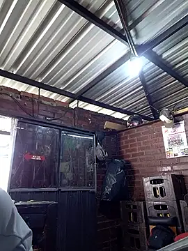 kay towers99 online show from April 6, 2026, 6:31 pm