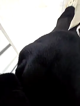 aloan Tk online show from April 8, 2026, 12:34 am