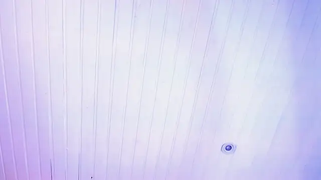 Snapshot of novaross chatting on October 8, 2025, 8:09 pm novaross online show from October 8, 2025, 8:09 pm