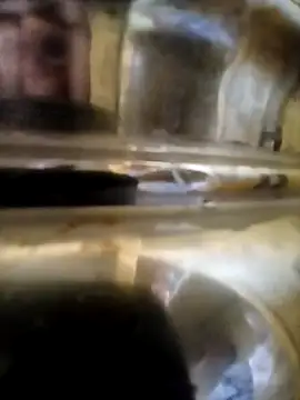 Vizgeboys online show from October 6, 2025, 9:43 am