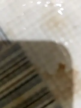 Snapshot of Jcj_bhabi chatting on September 29, 2025, 3:39 pm Jcj bhabi online show from September 29, 2025, 3:39 pm