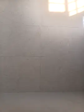 VJ17 online show from November 17, 2025, 11:03 am