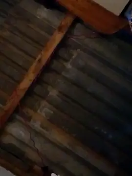 LUISSLEONN0958 online show from September 25, 2025, 9:04 am