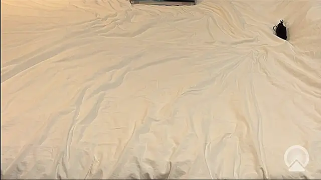 Snapshot of myPriority01 chatting on January 9, 2026, 1:40 pm myPriority01 online show from January 9, 2026, 1:40 pm