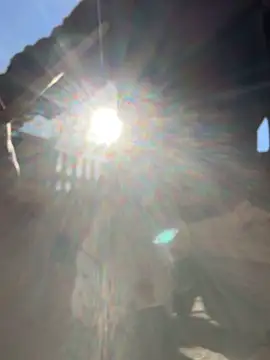 Snapshot of Mexxwell69 chatting on November 4, 2025, 11:47 am Mexxwell69 online show from November 4, 2025, 11:47 am