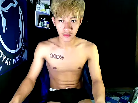 naughtyboyloy 0 online show from November 23, 2025, 9:19 am