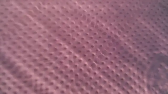 Snapshot of Liz_Hu chatting on October 9, 2025, 12:49 pm Liz Hu online show from October 9, 2025, 12:49 pm