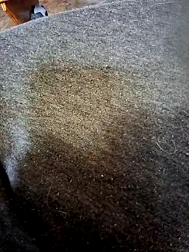 Duck135 online show from April 1, 2026, 11:55 am