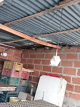 hoteder online show from December 4, 2025, 12:48 pm