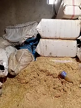 Snapshot of ezgi2545 chatting on April 2, 2026, 10:44 am ezgi2545 online show from April 2, 2026, 10:44 am