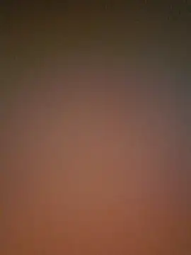 Lizbeth Rouse online show from December 3, 2025, 11:42 am