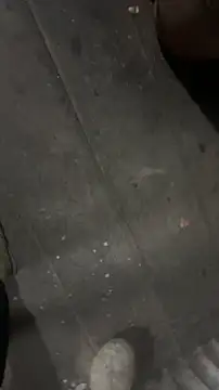 Snapshot of longfuckk chatting on November 22, 2025, 10:08 pm longfuckk online show from November 22, 2025, 10:08 pm