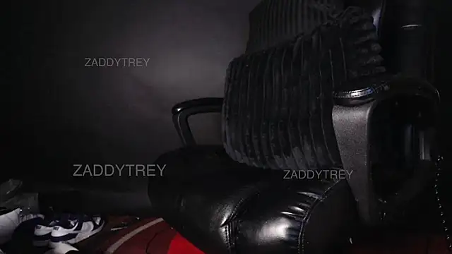 zaddytrey online show from April 6, 2026, 10:11 pm
