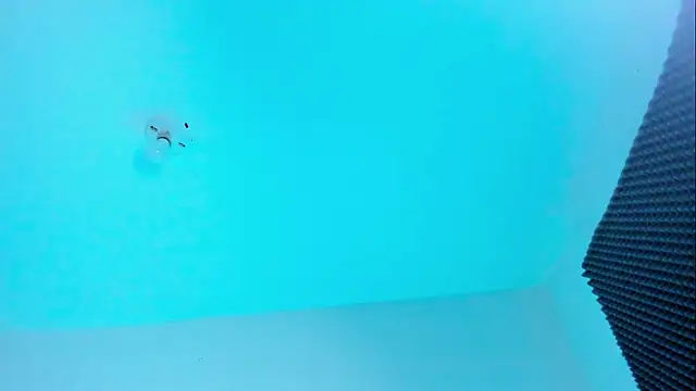 Snapshot of Ellope_ chatting on October 22, 2025, 11:03 pm Ellope online show from October 22, 2025, 11:03 pm