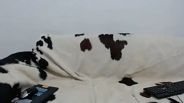 Snapshot of Dan_jonson15 chatting on November 26, 2025, 5:51 am Dan jonson15 online show from November 26, 2025, 5:51 am