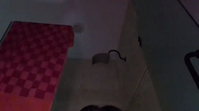 Snapshot of TallDrink11 chatting on September 29, 2025, 10:26 pm TallDrink11 online show from September 29, 2025, 10:26 pm