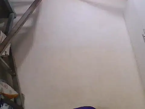 Assiana online show from December 17, 2025, 6:51 am