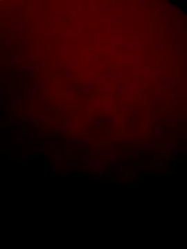 Snapshot of Seksimmm22 chatting on November 5, 2025, 3:09 am Seksimmm22 online show from November 5, 2025, 3:09 am