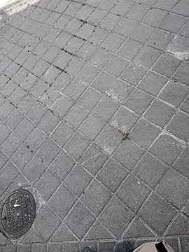 Snapshot of xxxfeo chatting on April 9, 2026, 12:00 pm xxxfeo online show from April 9, 2026, 12:00 pm