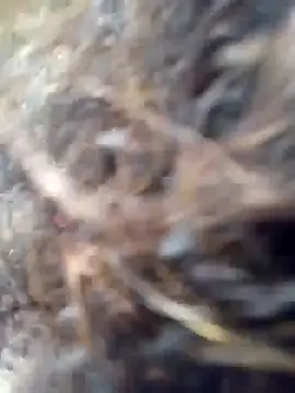 Snapshot of Missparis chatting on November 14, 2025, 8:56 pm Missparis online show from November 14, 2025, 8:56 pm