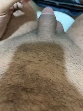 HaltBrand online show from November 9, 2025, 9:35 am