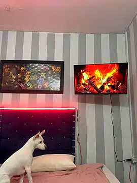 gatica2905 online show from October 17, 2025, 3:54 am