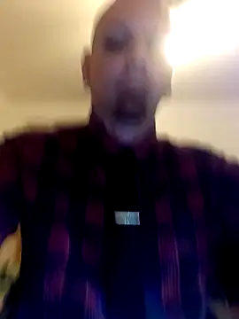 Premium-Jogurt online show from November 19, 2025, 3:50 am